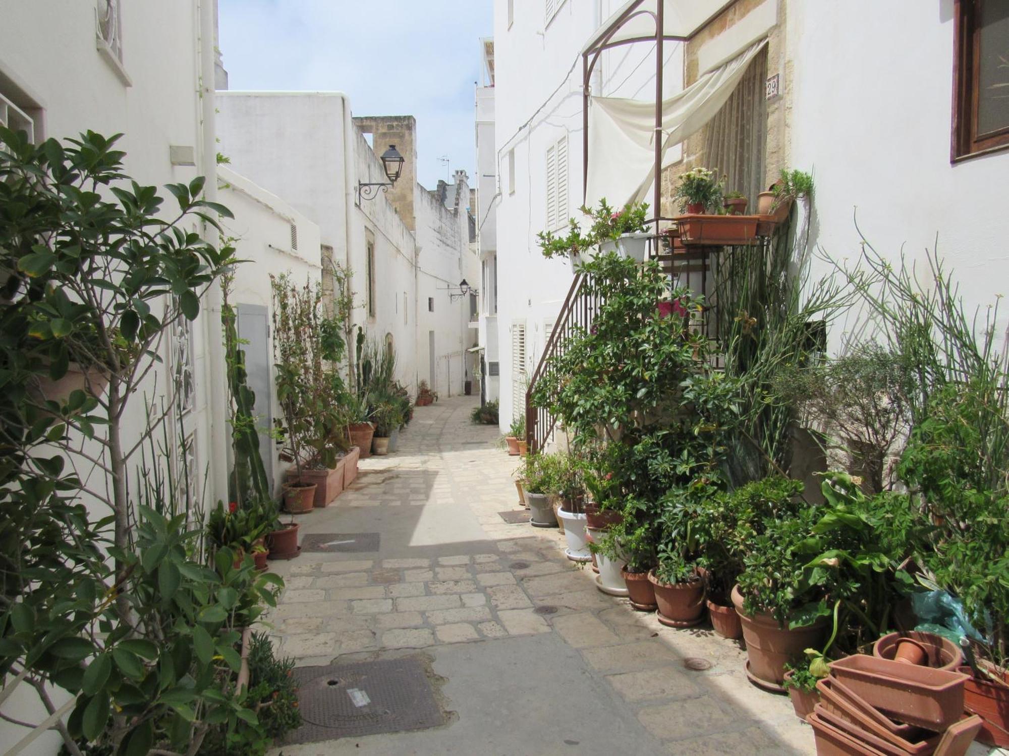 بولينيانو آ ماري Vicolo Fiorito B&B المظهر الخارجي الصورة