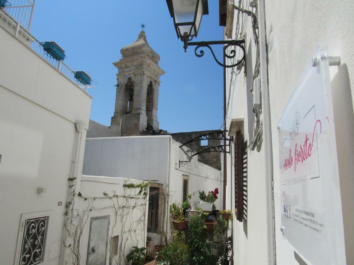 بولينيانو آ ماري Vicolo Fiorito B&B المظهر الخارجي الصورة